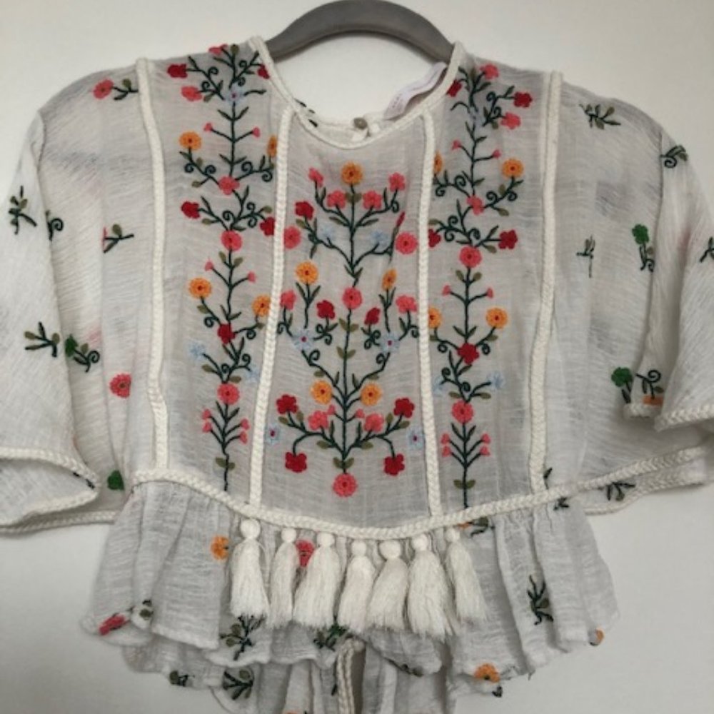 Zara Cropped top